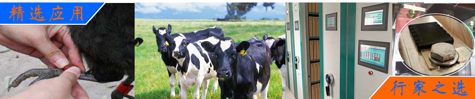 圖書服裝物流快遞自動分揀RFID解決方案